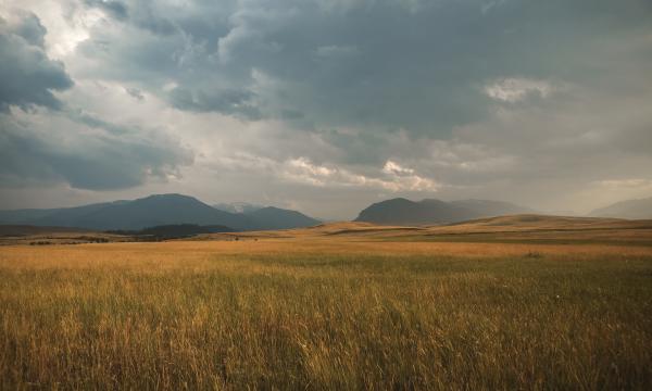 Clouds and a field.